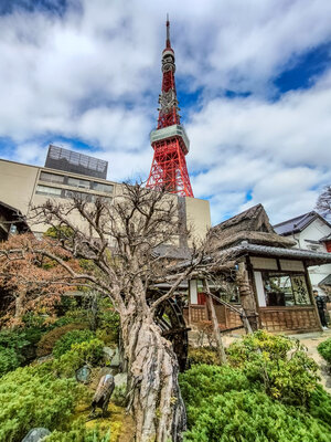  | 絶景事典