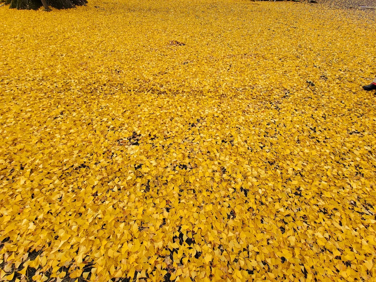 千夏さんの投稿写真