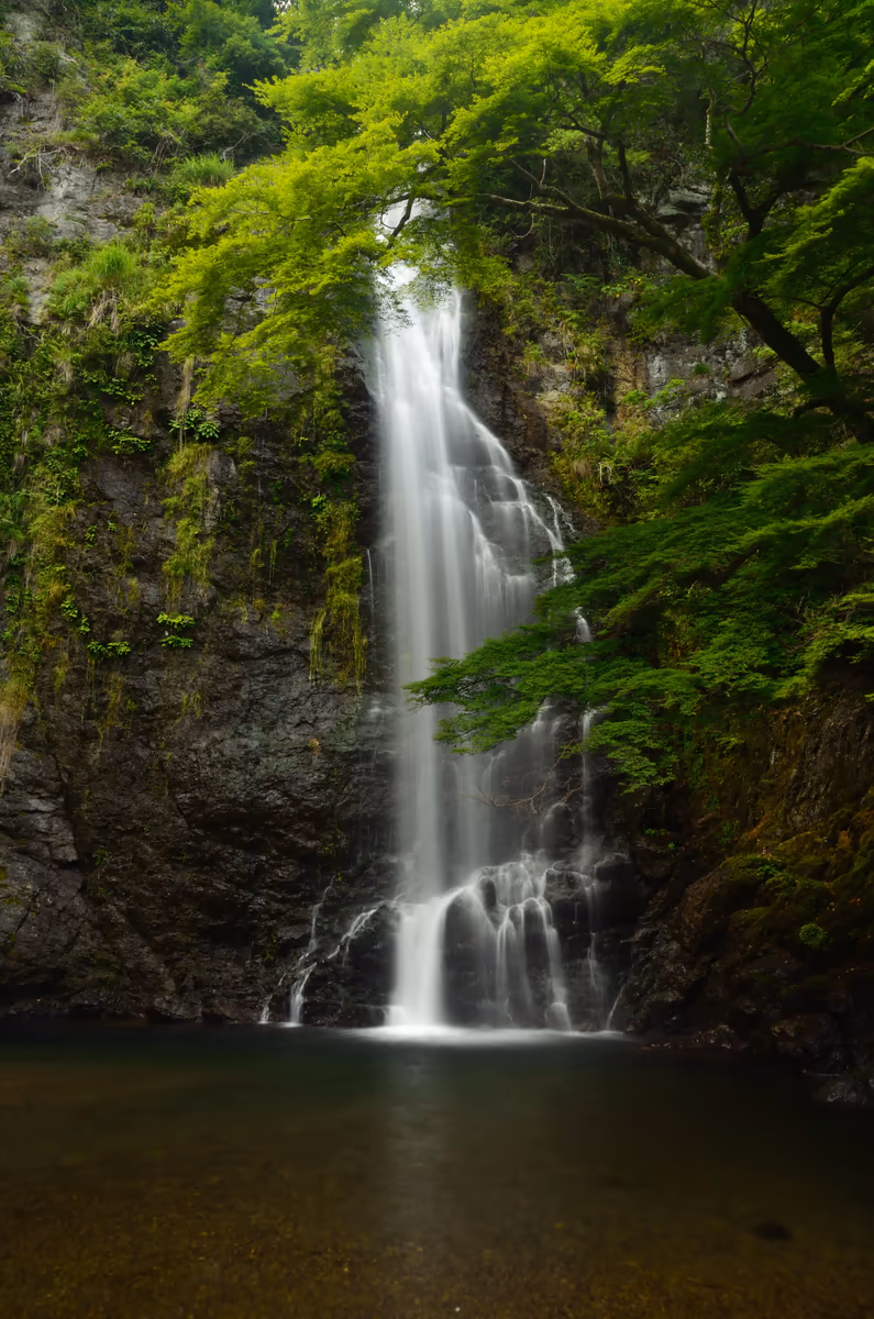 投稿写真：箕面の滝
