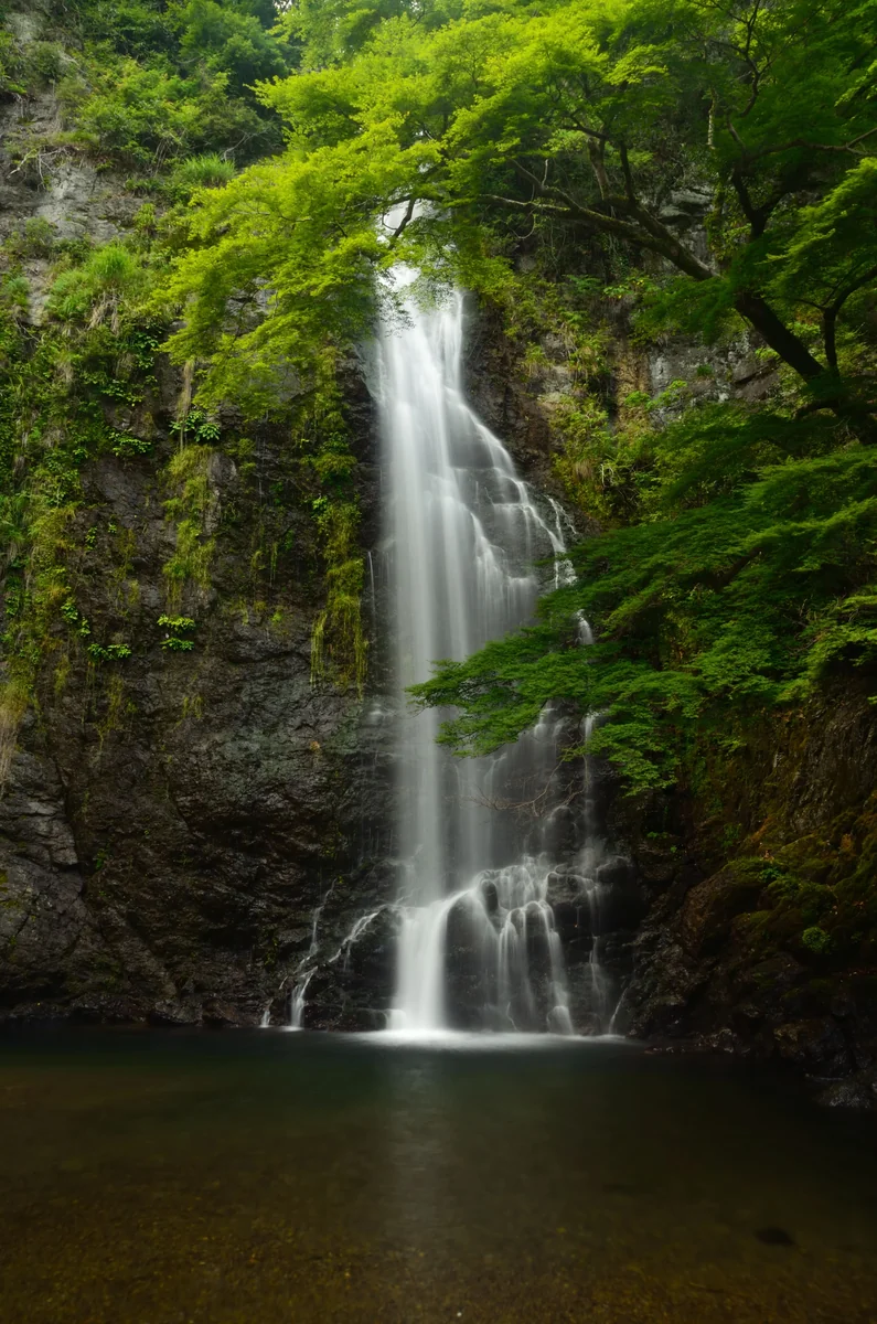 投稿写真：箕面の滝