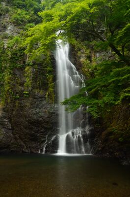  | 絶景事典