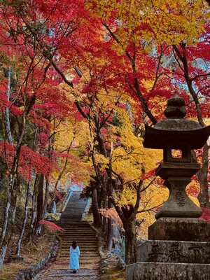  | 絶景事典