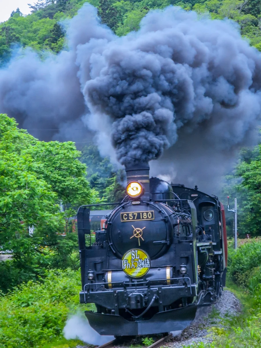投稿写真：新緑のSLばんえつ物語