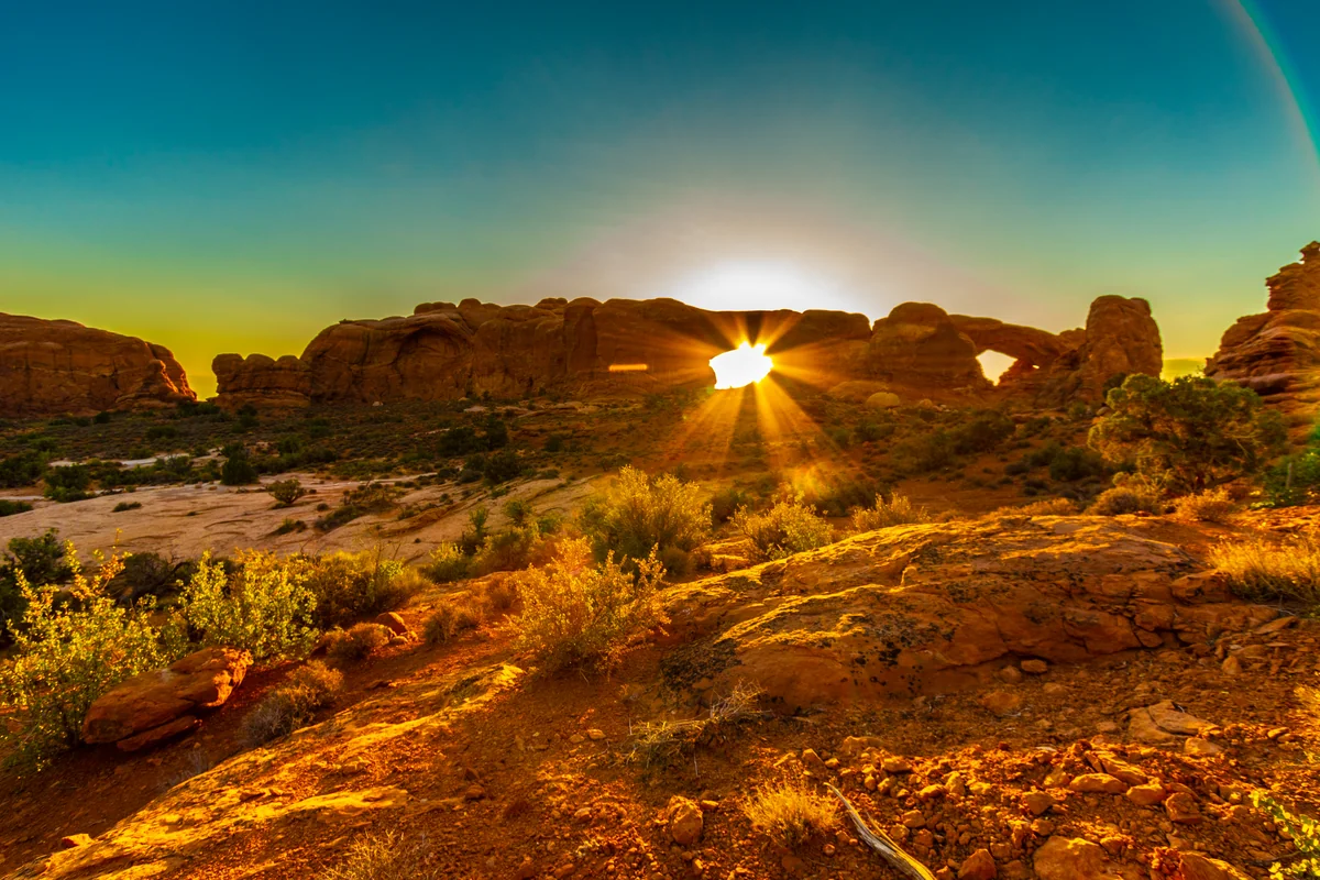 投稿写真：North Window