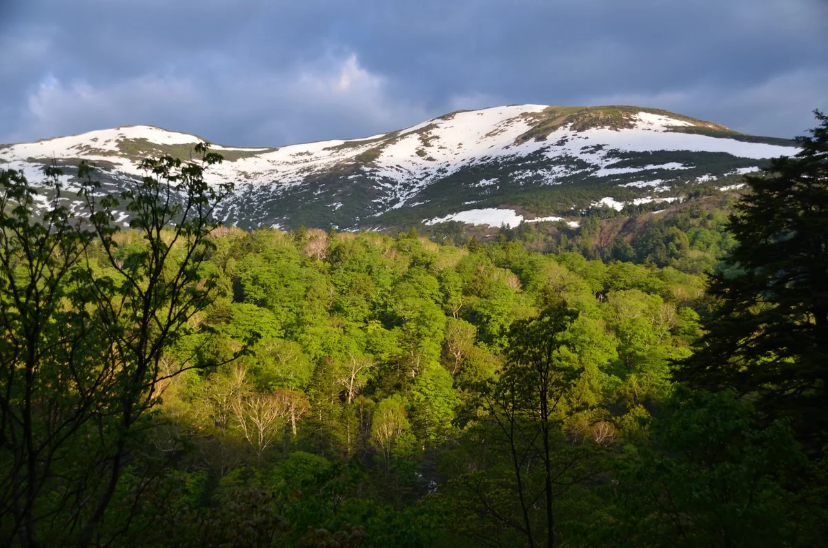投稿写真：残雪の至仏山