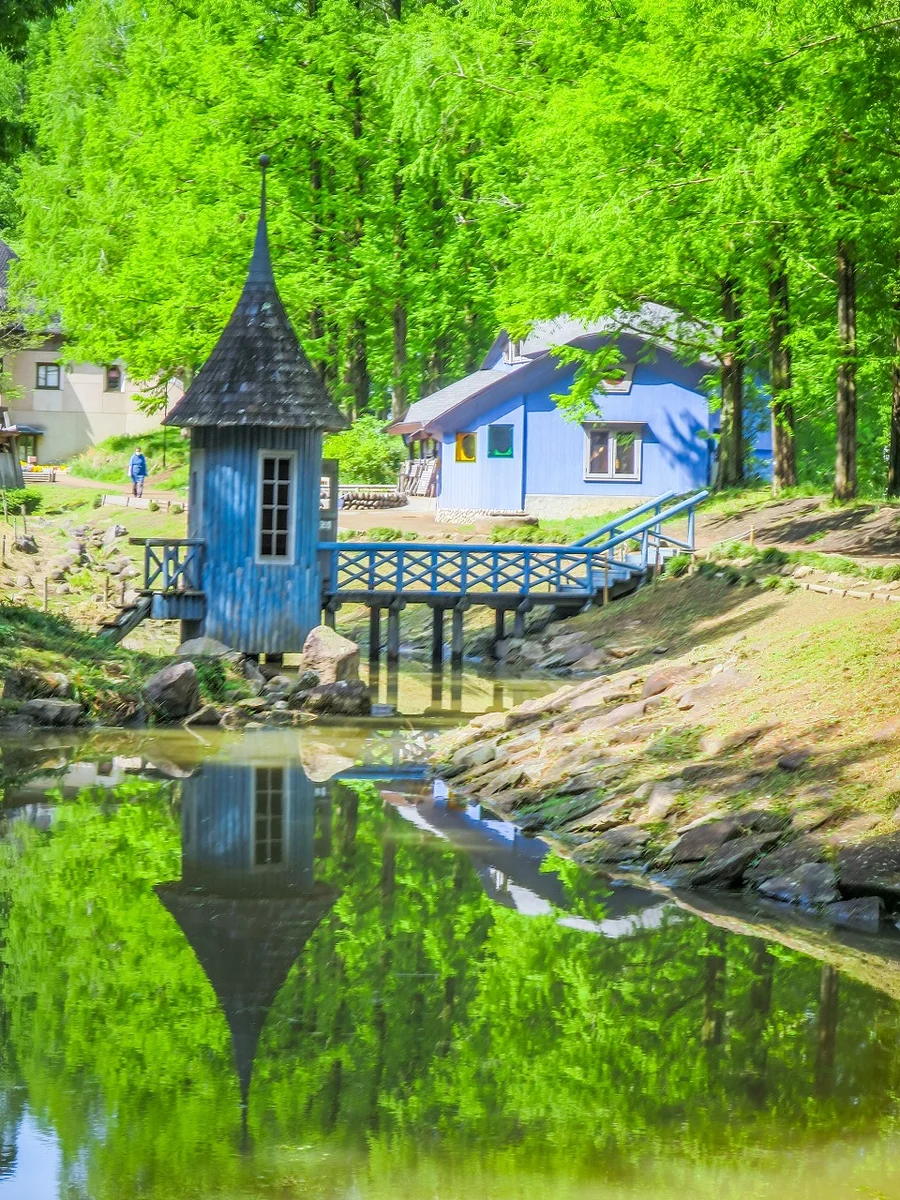 投稿写真：新緑と青い建物のリフレクション