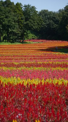  | 絶景事典