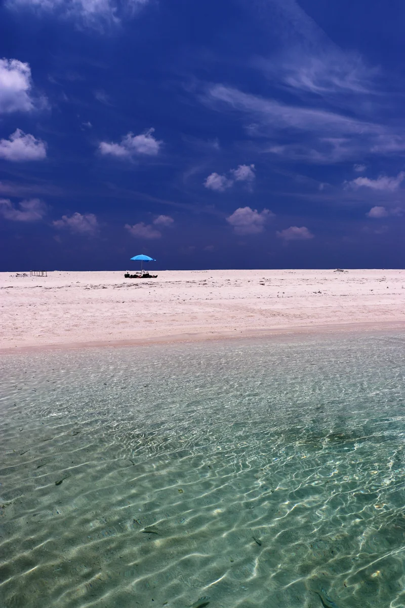 投稿写真：白い砂浜だけの無人島ハテの浜足下にはコトヒキが集まってきた