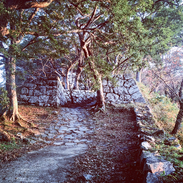 投稿：佐伯城