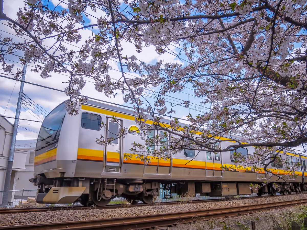 投稿写真：桜と南武線電車
