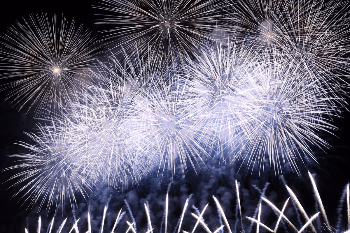 投稿写真：夏の風物詩 その1