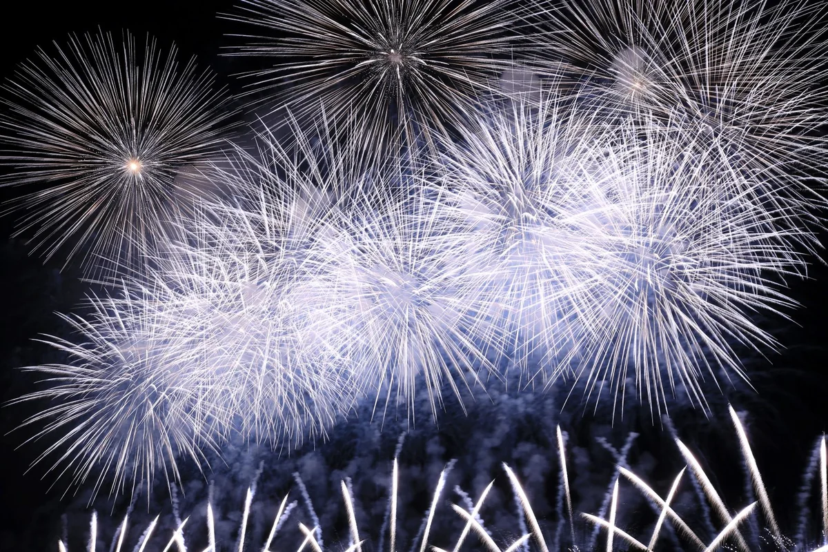 投稿写真：夏の風物詩 その1