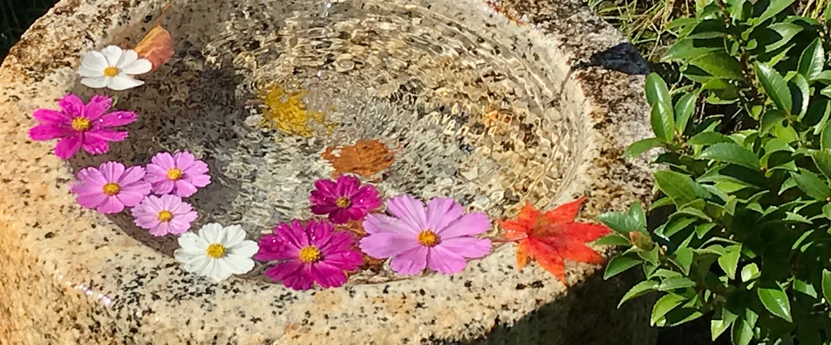 投稿写真：カラフル