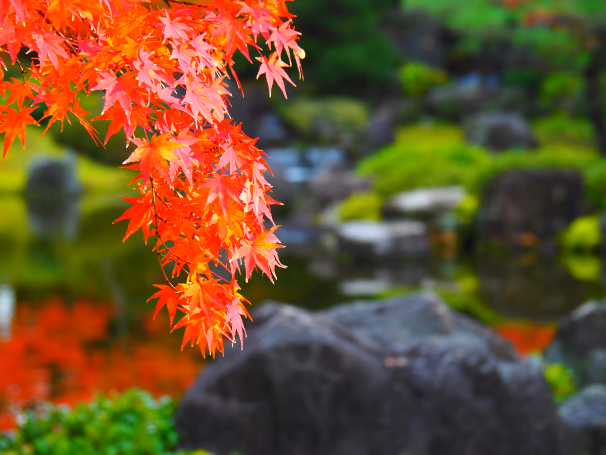 投稿写真：紅葉城南宮