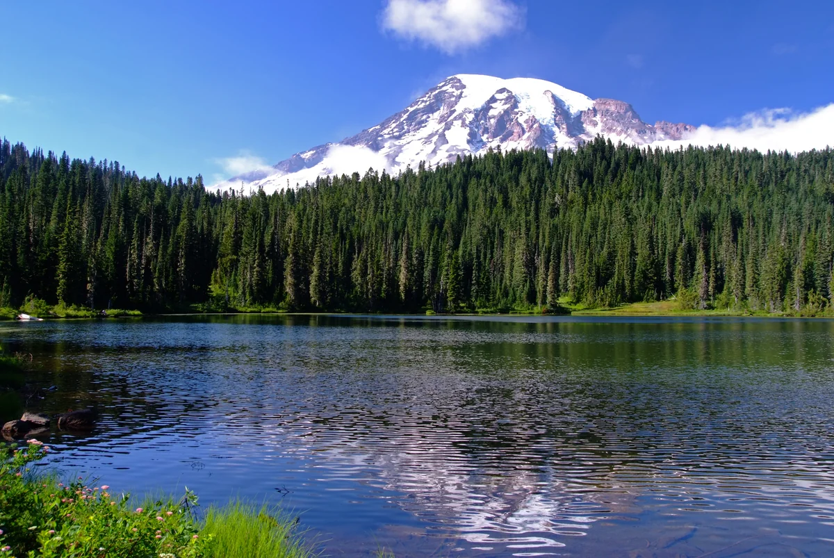 投稿写真：湖の輝きに