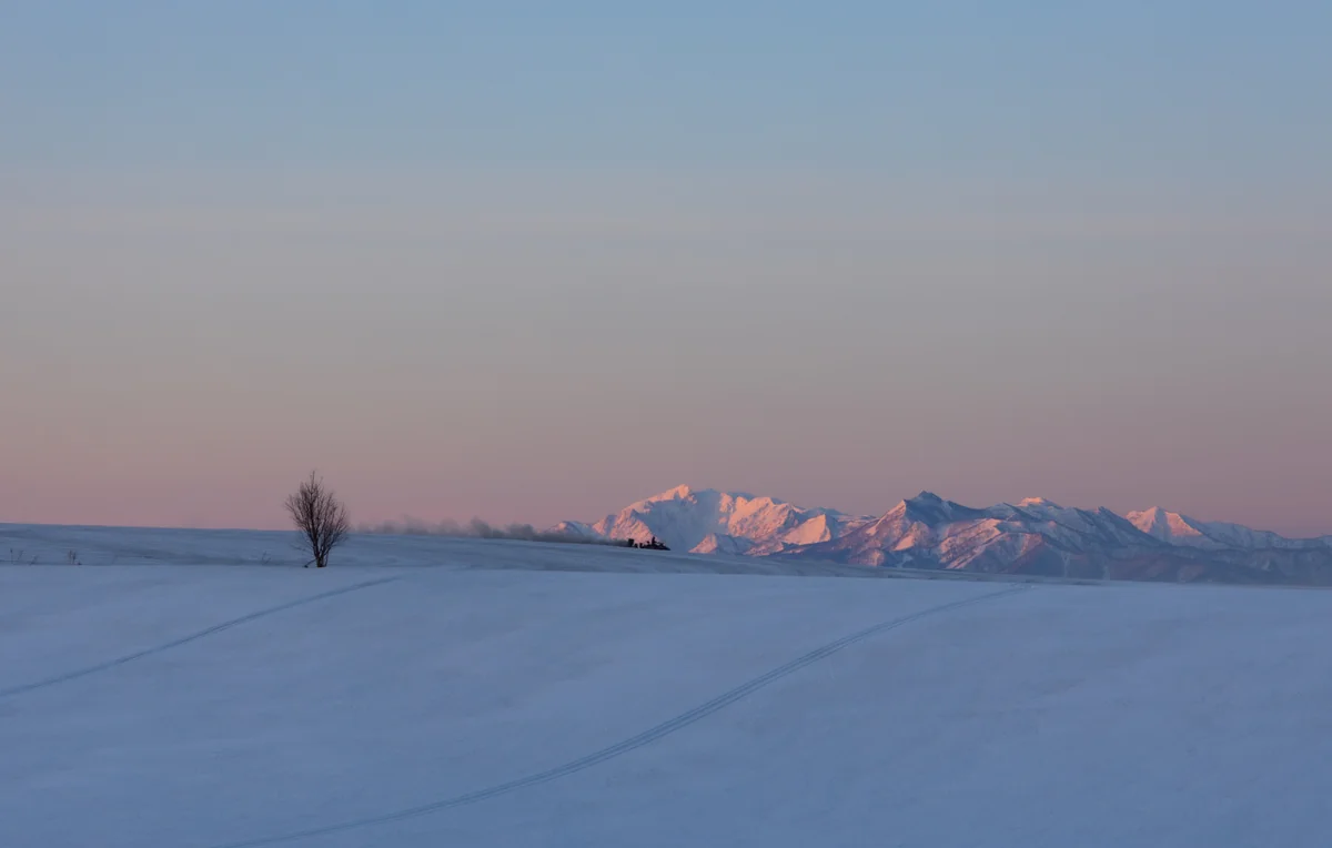 投稿写真：春の準備