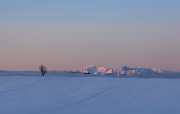 投稿：春の準備