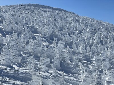 厳寒期の、白く美しい雪と氷の絶景♪の記事画像