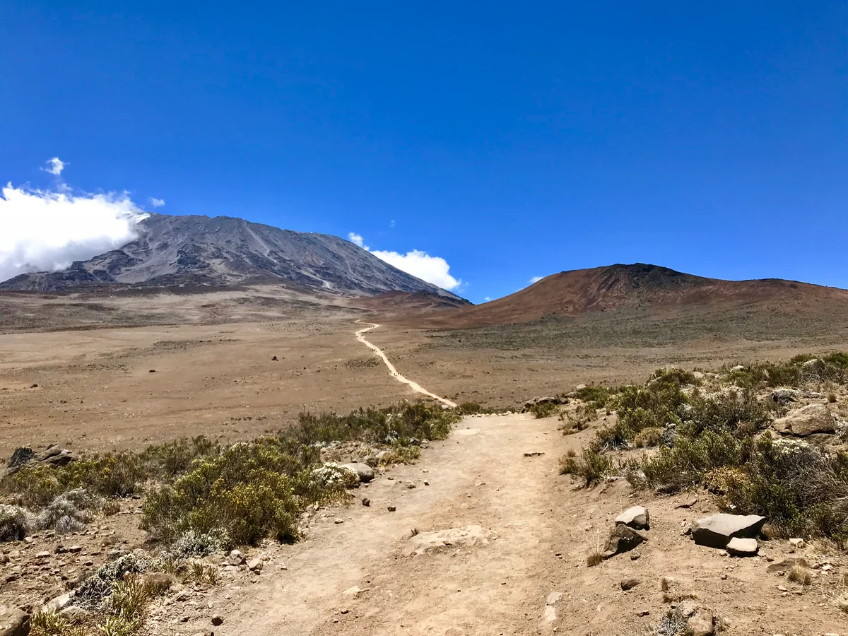 投稿写真：キボ峰へ続く道