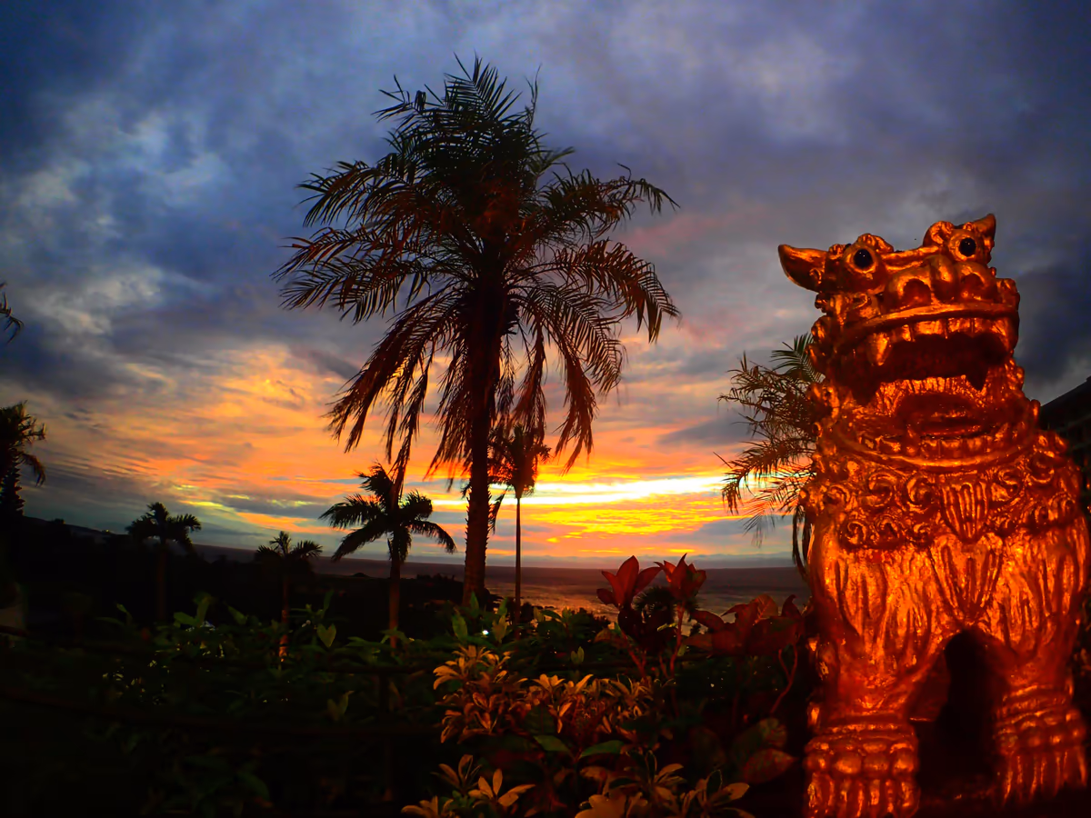 投稿写真：夕焼け