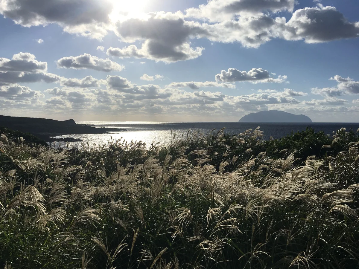 投稿写真：秋の三宅島