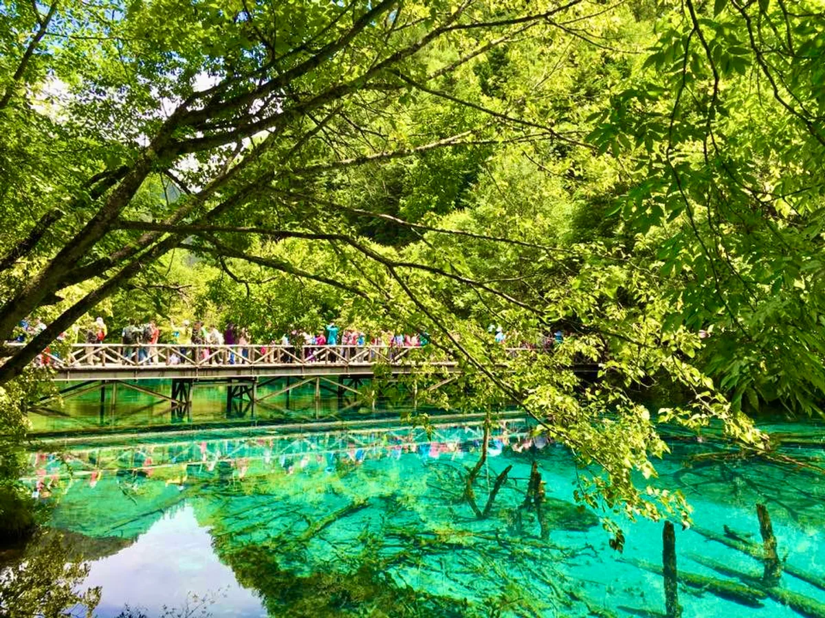 投稿写真：五花海