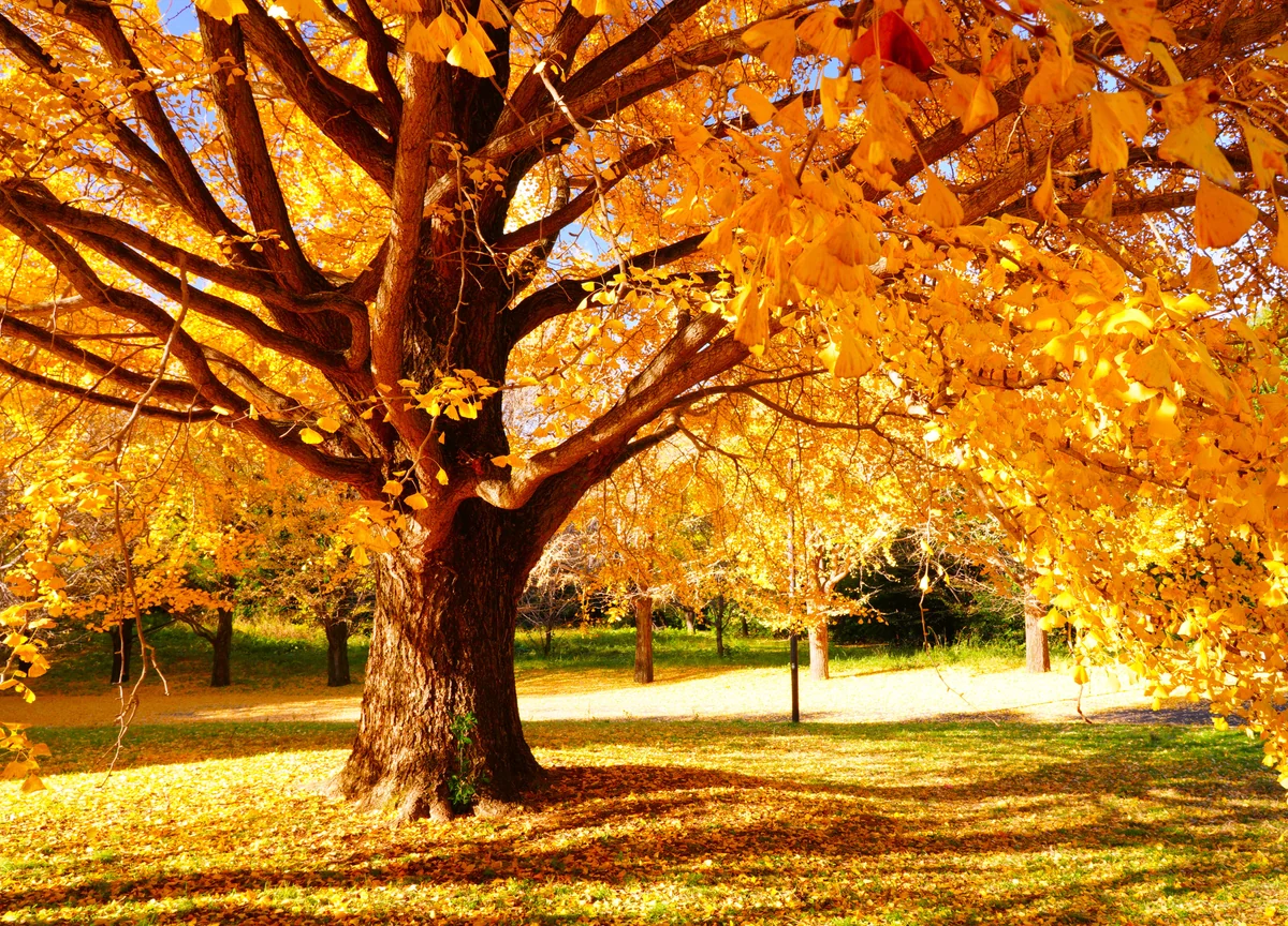 バケット君さんの投稿写真