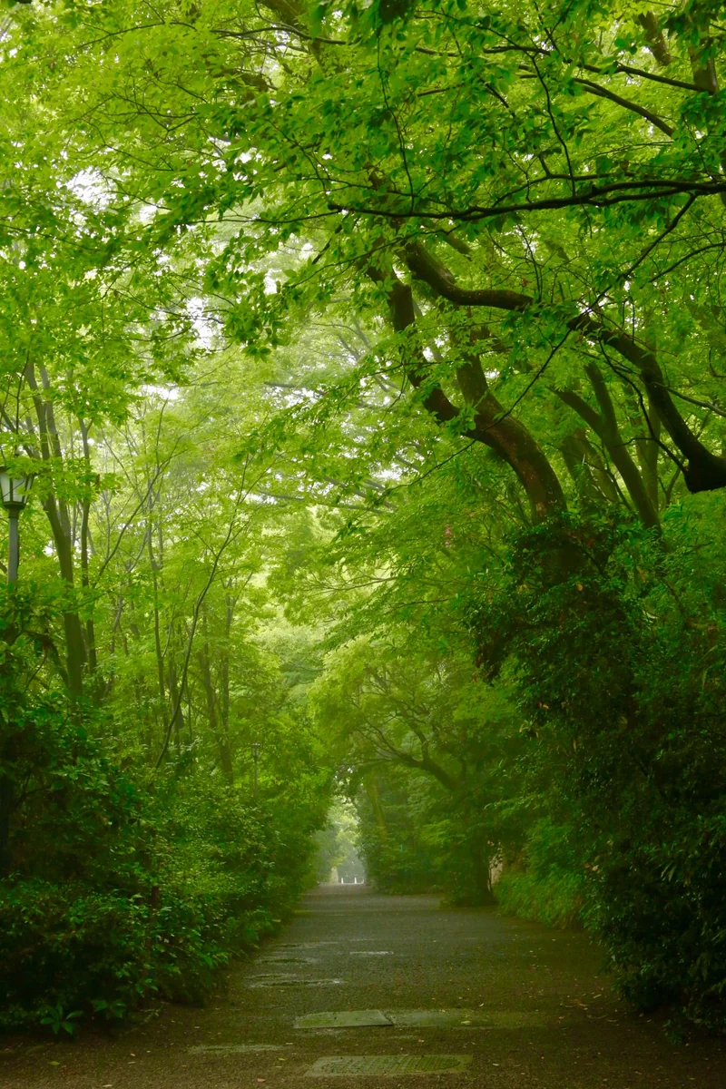 投稿写真：熱田の森