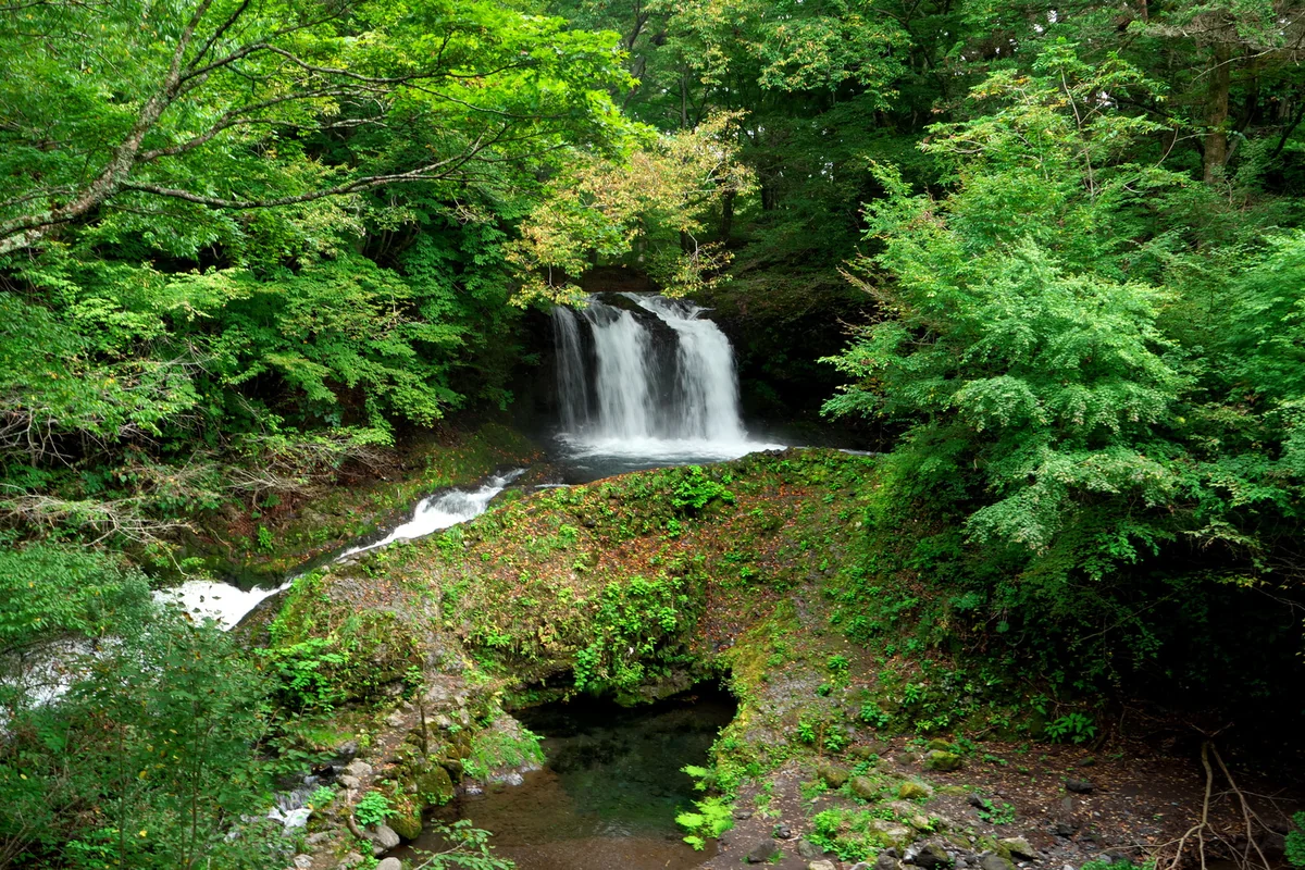 投稿写真：隠れスポット？