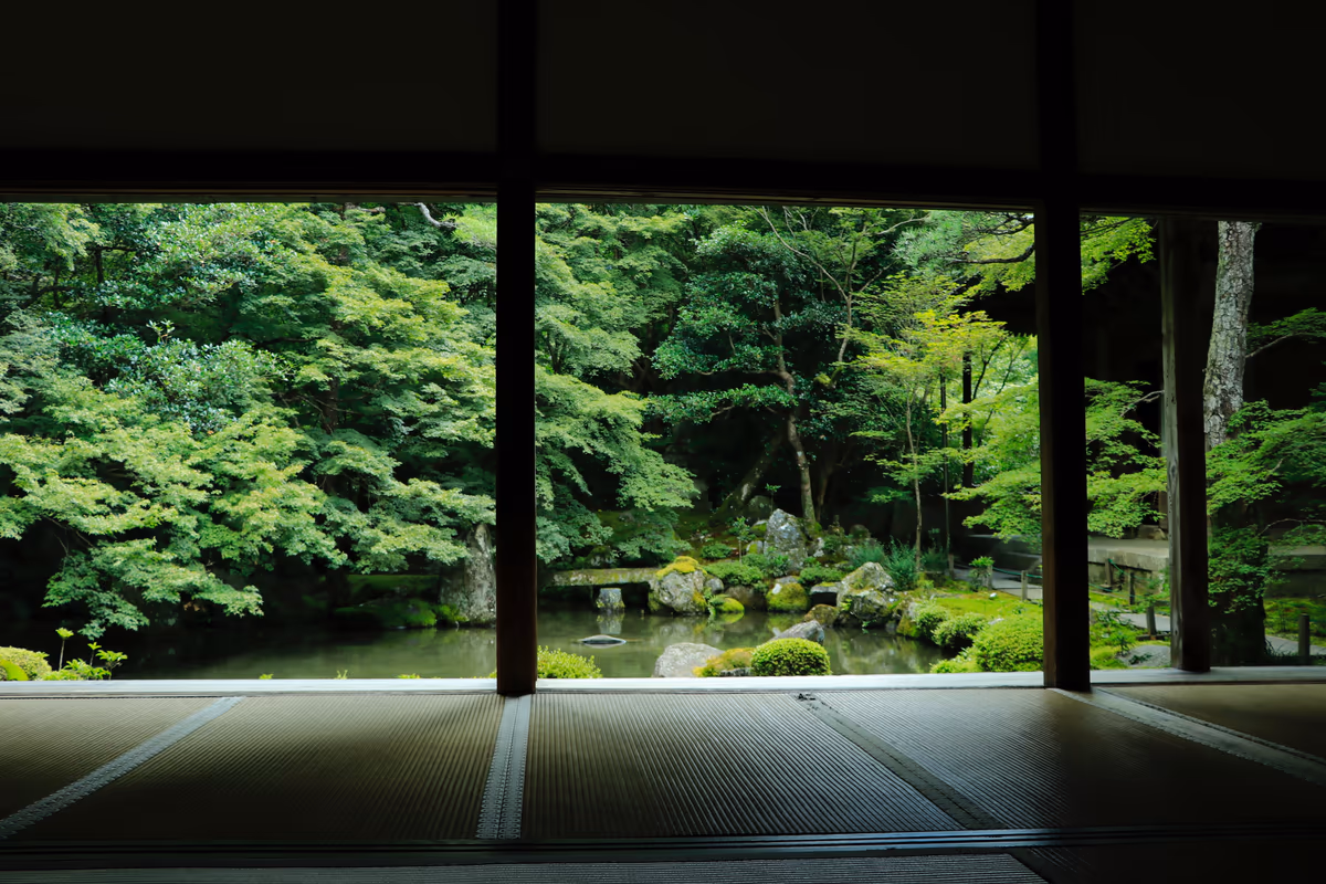 投稿写真：青もみじ蝉時雨