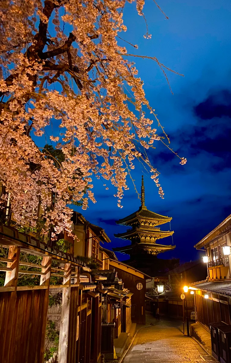 投稿写真：古都の春