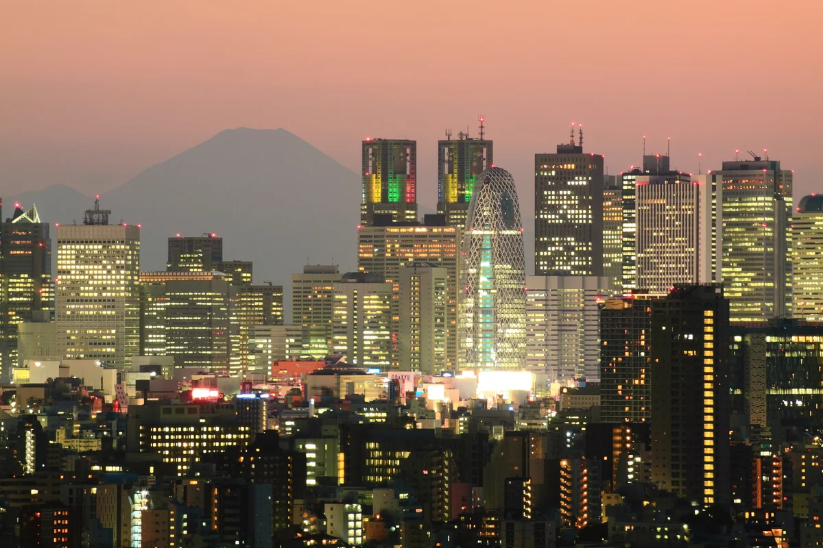 投稿写真：Shinjuku & Mt.Fuji Night Veiw