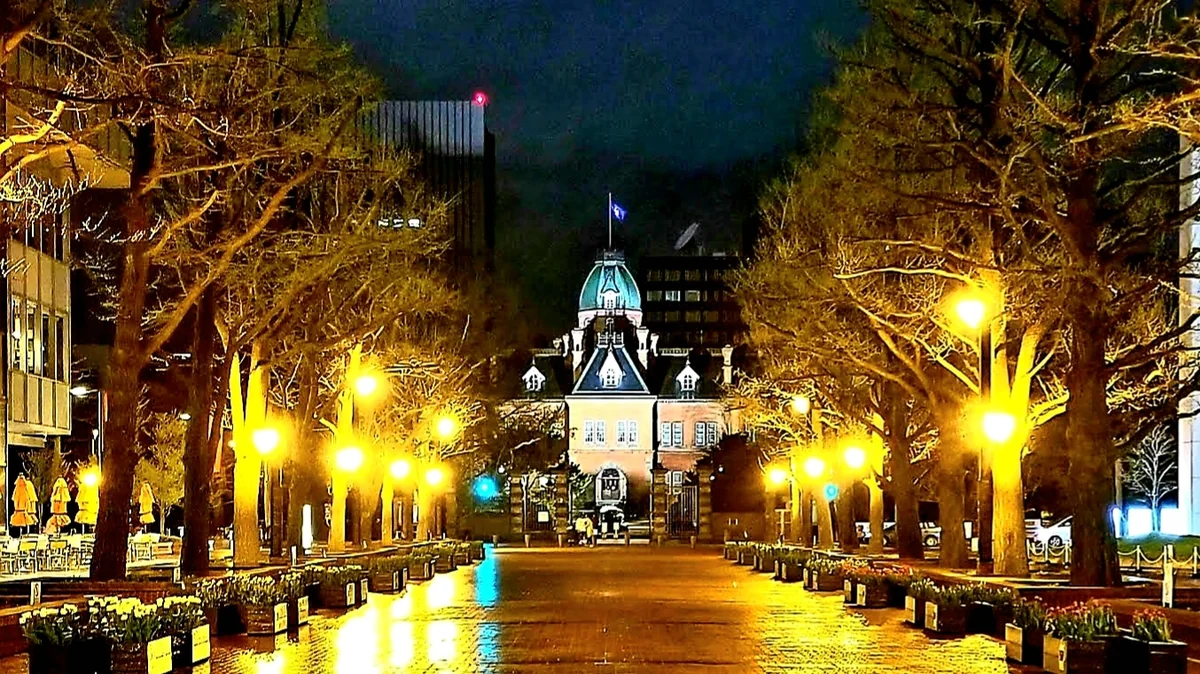 投稿写真：北の都､夜の彷徨