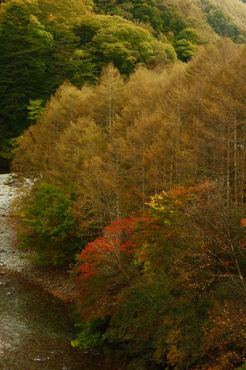 投稿写真：笛吹川　秋の流れ