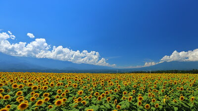  | 絶景事典
