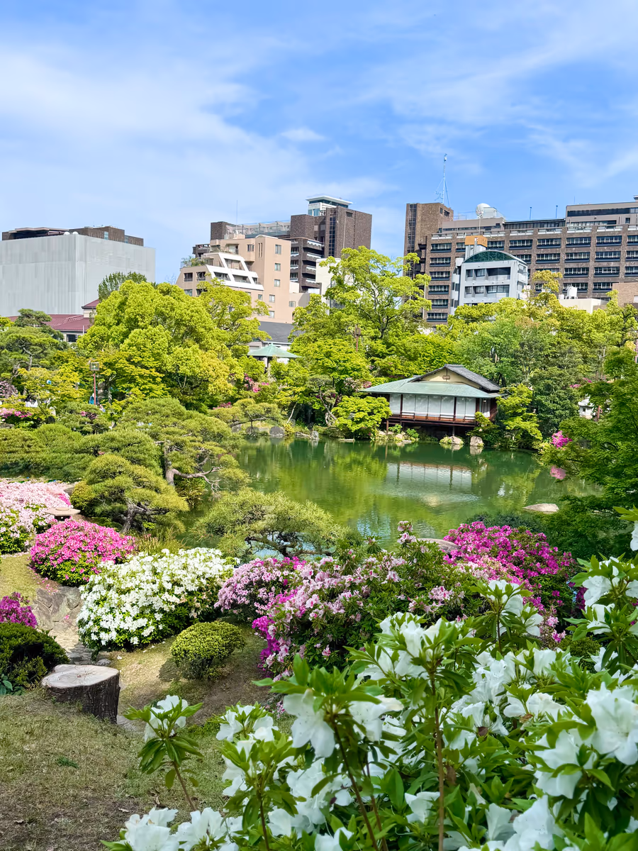 投稿写真：都会の中の日本庭園 相楽園