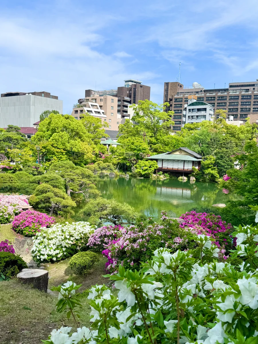 投稿写真：都会の中の日本庭園 相楽園