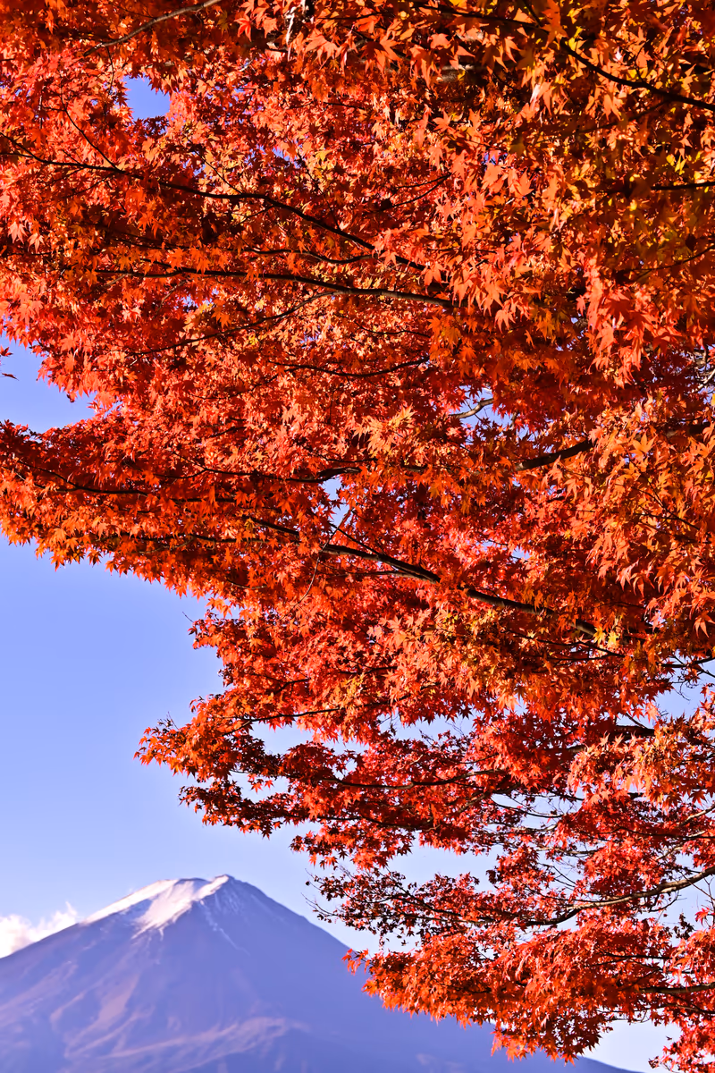 投稿写真：秋空
