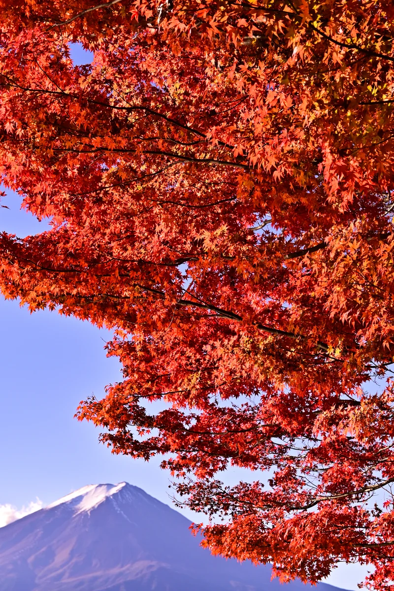 投稿写真：秋空