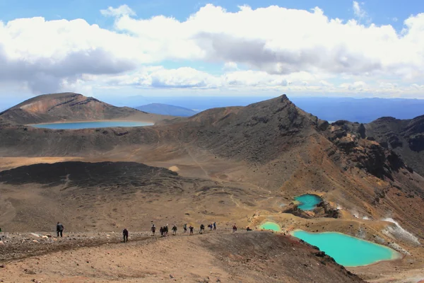 投稿：トンガリロ・アルパイン・クロッシング