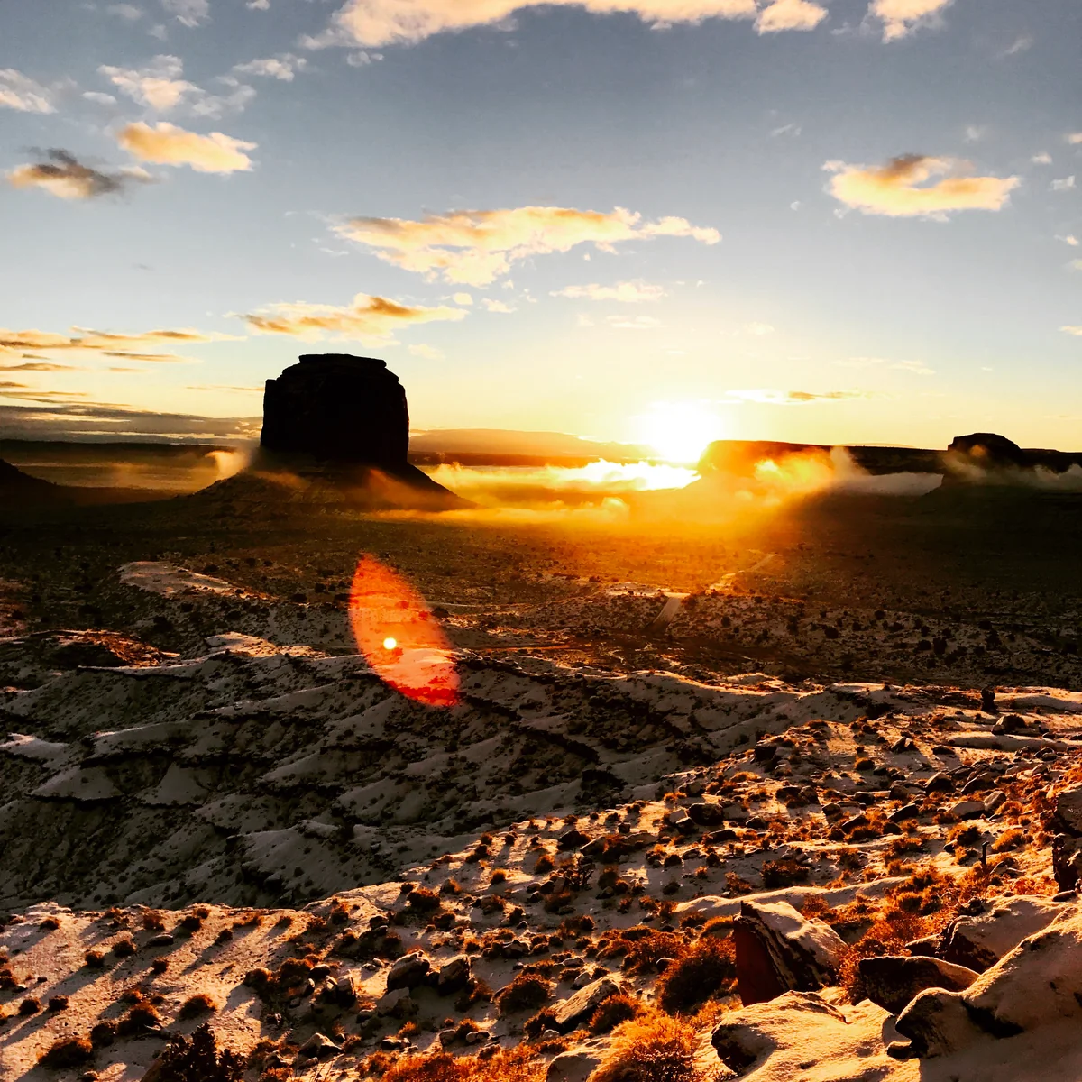 こばとらさんの投稿写真