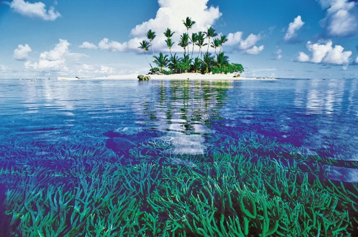 三輪 アキラさんの投稿写真