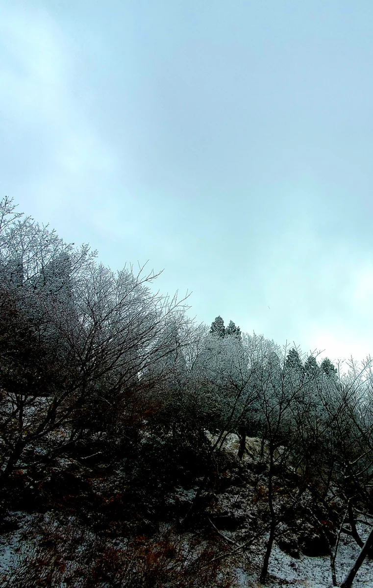 投稿写真：米塚展望所