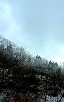  | 絶景事典