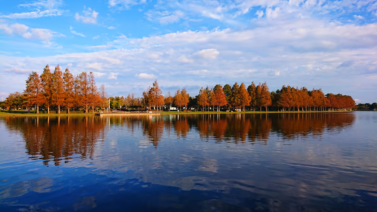 投稿写真：autumn of the Waterfront