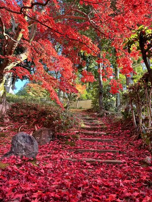  | 絶景事典