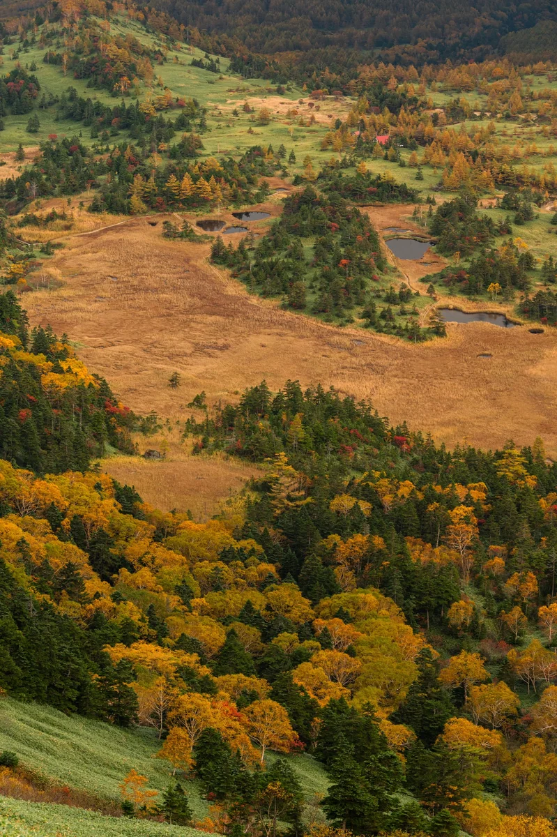 投稿写真：ジオラマ紅葉