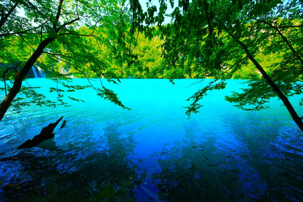 投稿写真：エメラルドグリーンが広がる奇跡の自然美