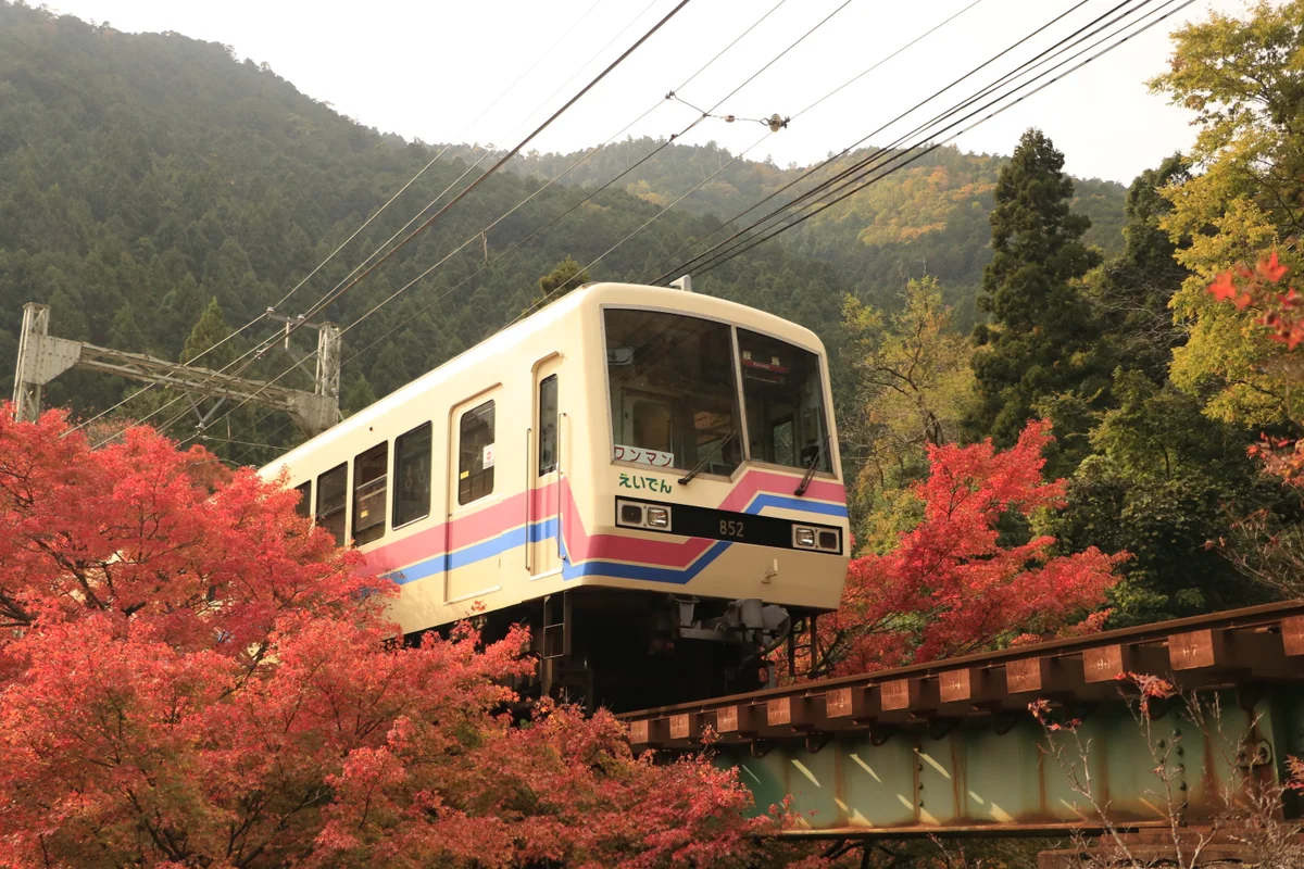 投稿写真：紅葉の橋梁