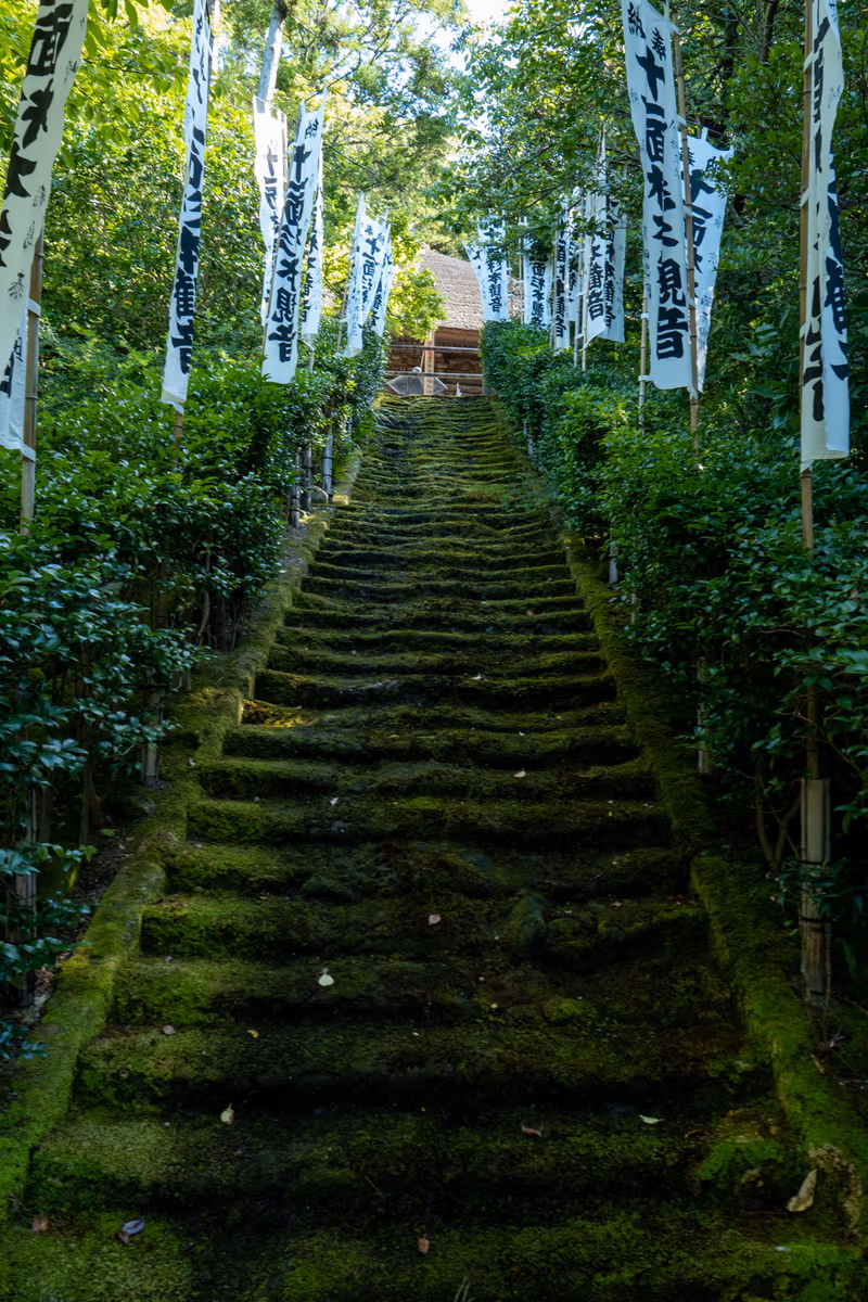 投稿写真：杉本寺 苔の石段
